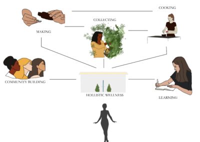 Diagram of holistic wellness