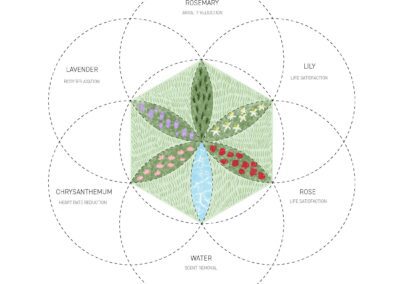Diagram of plants used in architecture plans