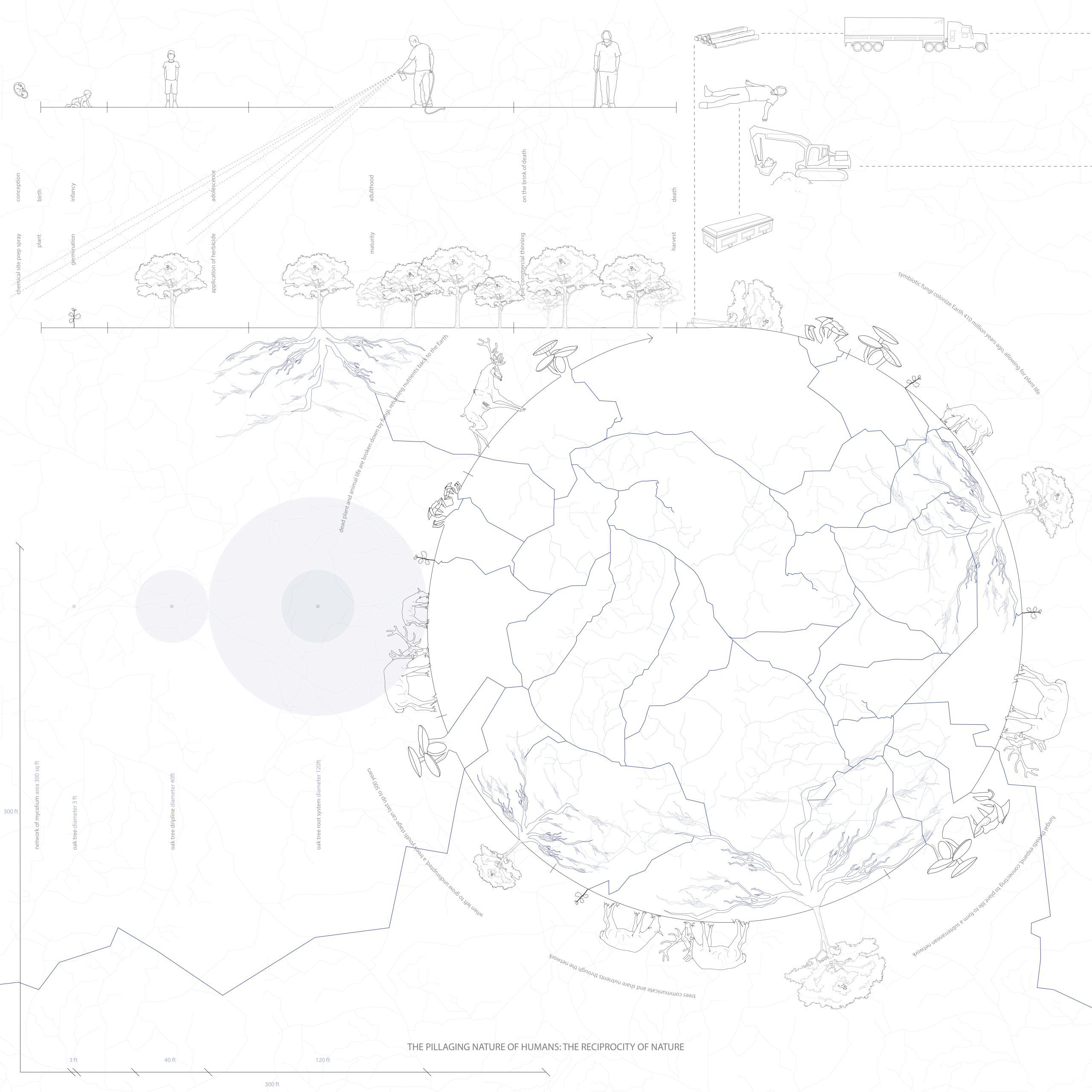 Map diagram of architecture project