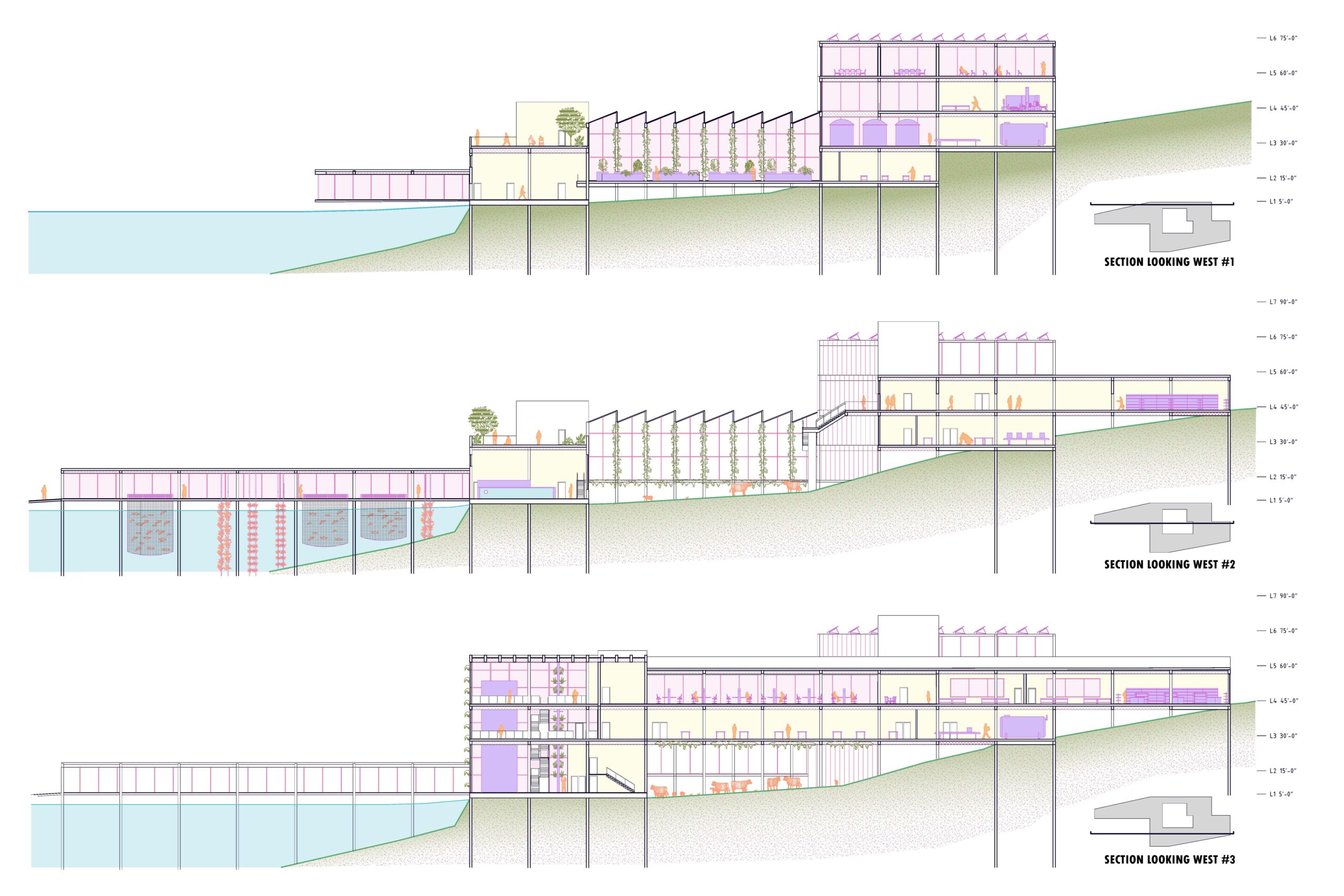 Section views of architecture project