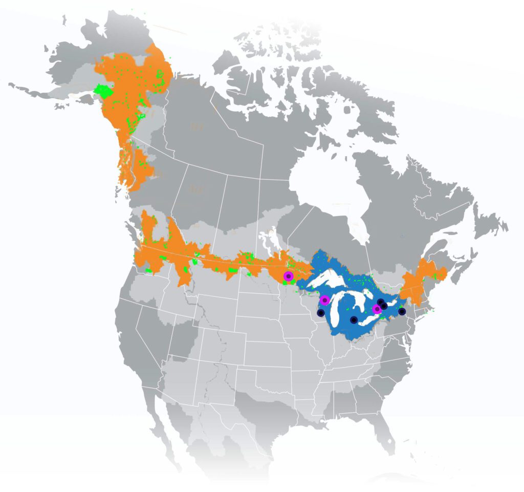 Map of North America showing where the new Global Center will draw on relationships and policies from transboundary watersheds and Indigenous Territories along the entire U.S.-Canada border (orange and green regions, respectively). The Great Lakes basin (blue) serves as an initial area of focus. Directly funded project partners are identified as black dots, with Indigenous partners highlighted by a purple ring. All of North America’s transboundary basins are highlighted in light grey for reference.