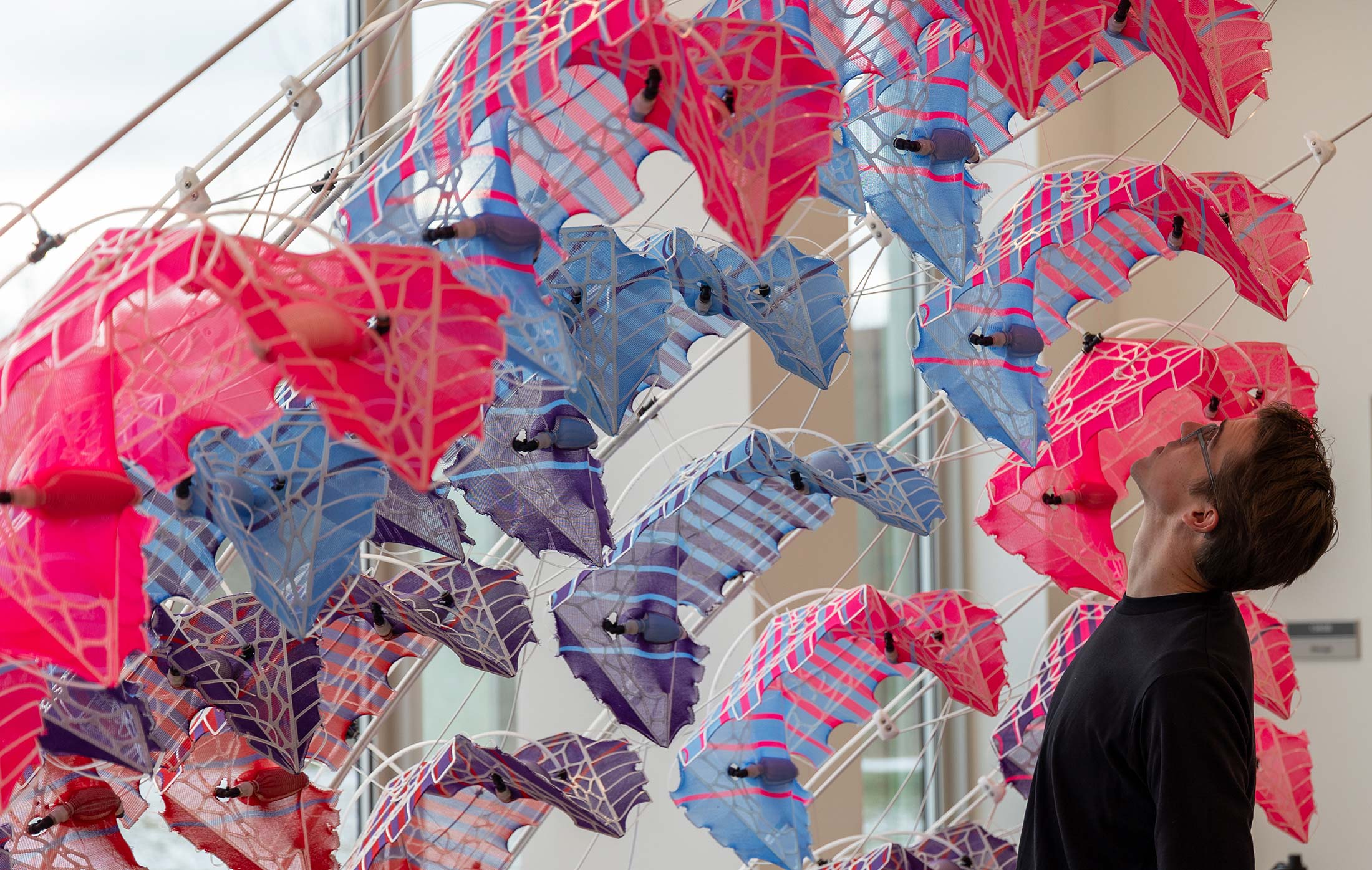A person looking at red, blue, and purple sculptural fabric