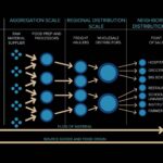 A slide from a slideshow discussing autonomy and structure in the Eastern Market