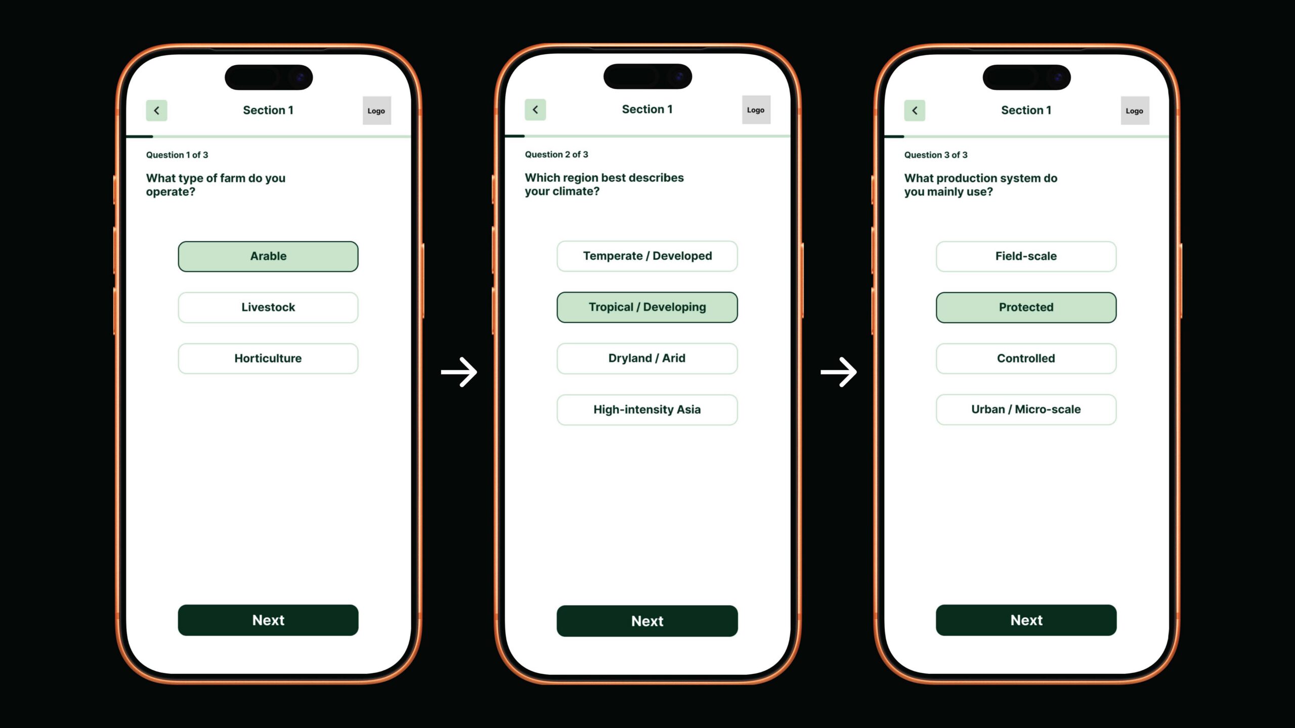 A slide from a slideshow discussing autonomy and structure in the Eastern Market