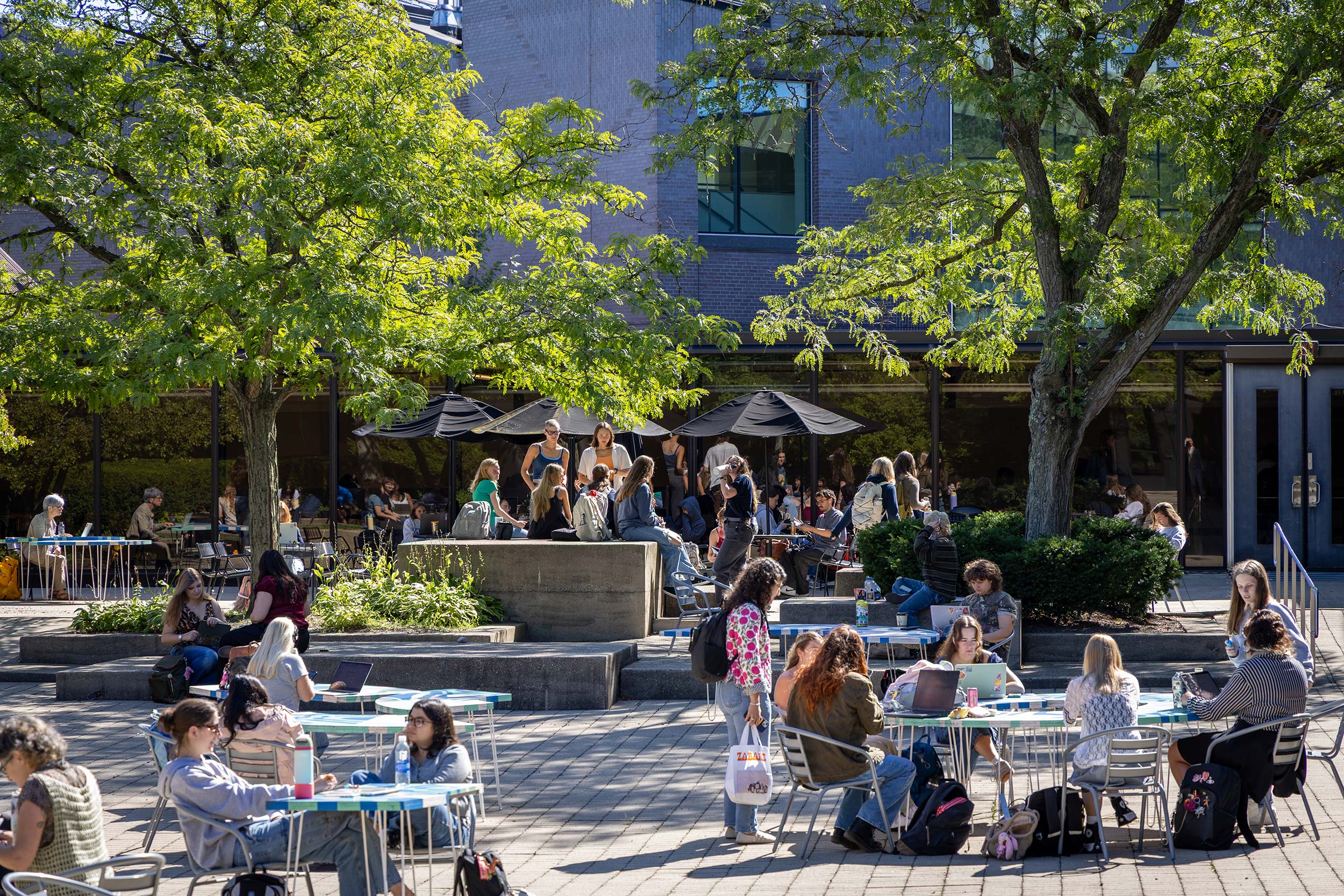 People gathering in the courtyard