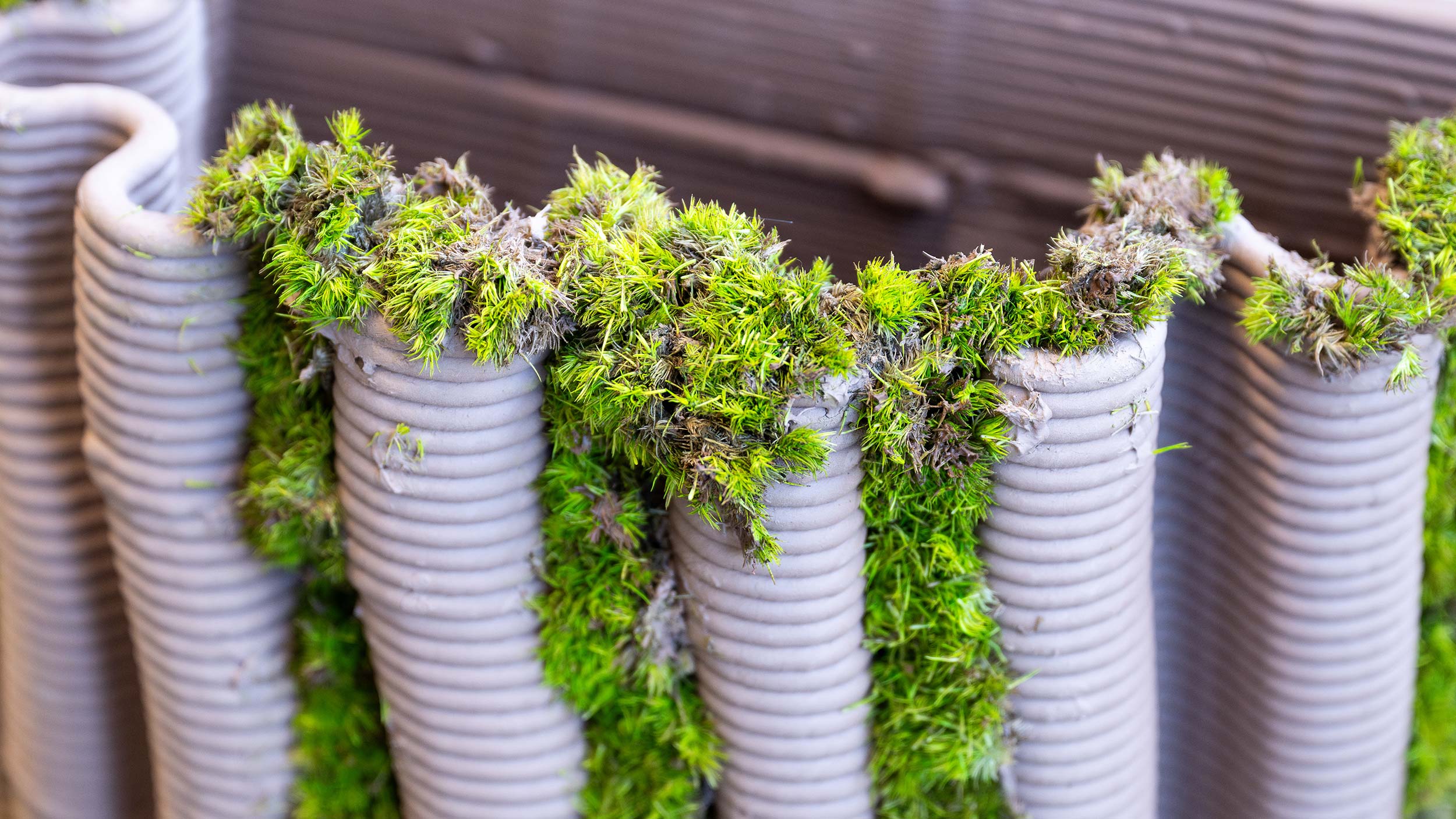 3D printed concrete planter